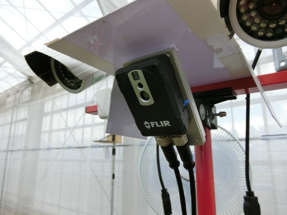 FLIR AX8: visualización agrícola con cámaras termográficas de infrarrojos